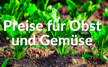 Obst-Gemüse