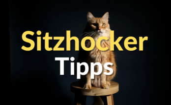 Sitzhocker Tipps