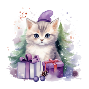 Geschenke Lustig